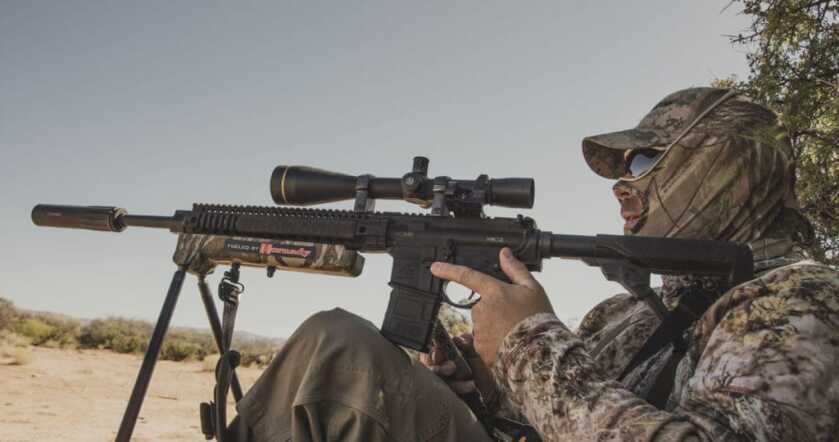 Calling Coyotes Like Clockwork Calling Coyotes Like Clockwork