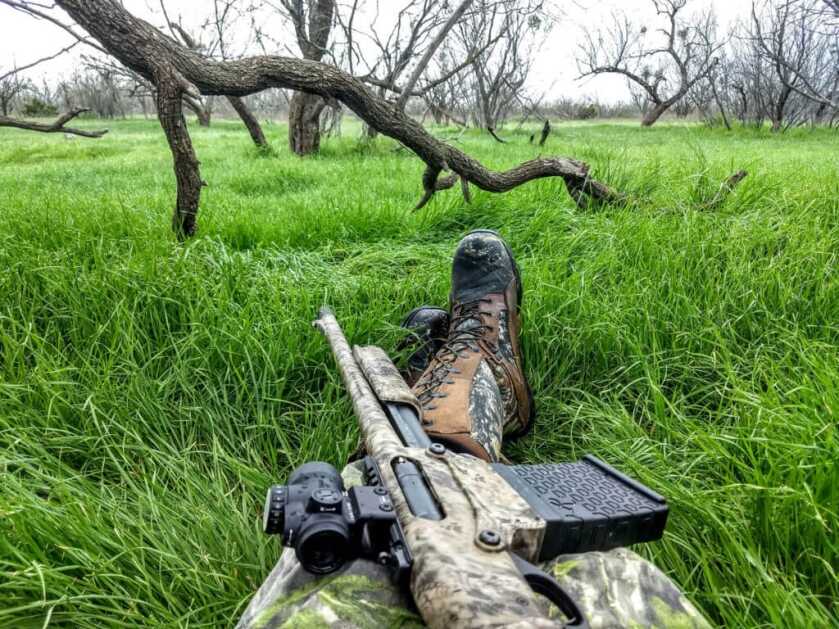 Jake Time: A Land Filled With Rio Grande Youngsters Jake Time: A Land Filled With Rio Grande Youngsters