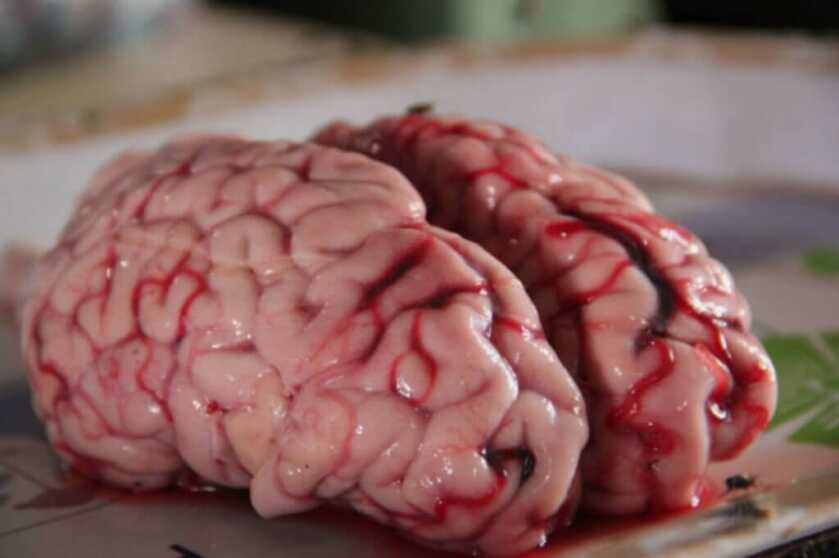 The Life and Times of the Brain-Damaged Gunslinger Clay Allison The Life and Times of the Brain-Damaged Gunslinger Clay Allison
