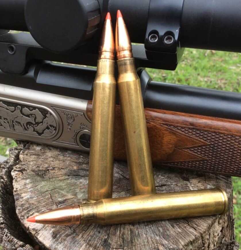 DIY Colorado Elk: My Experience DIY Colorado Elk: My Experience