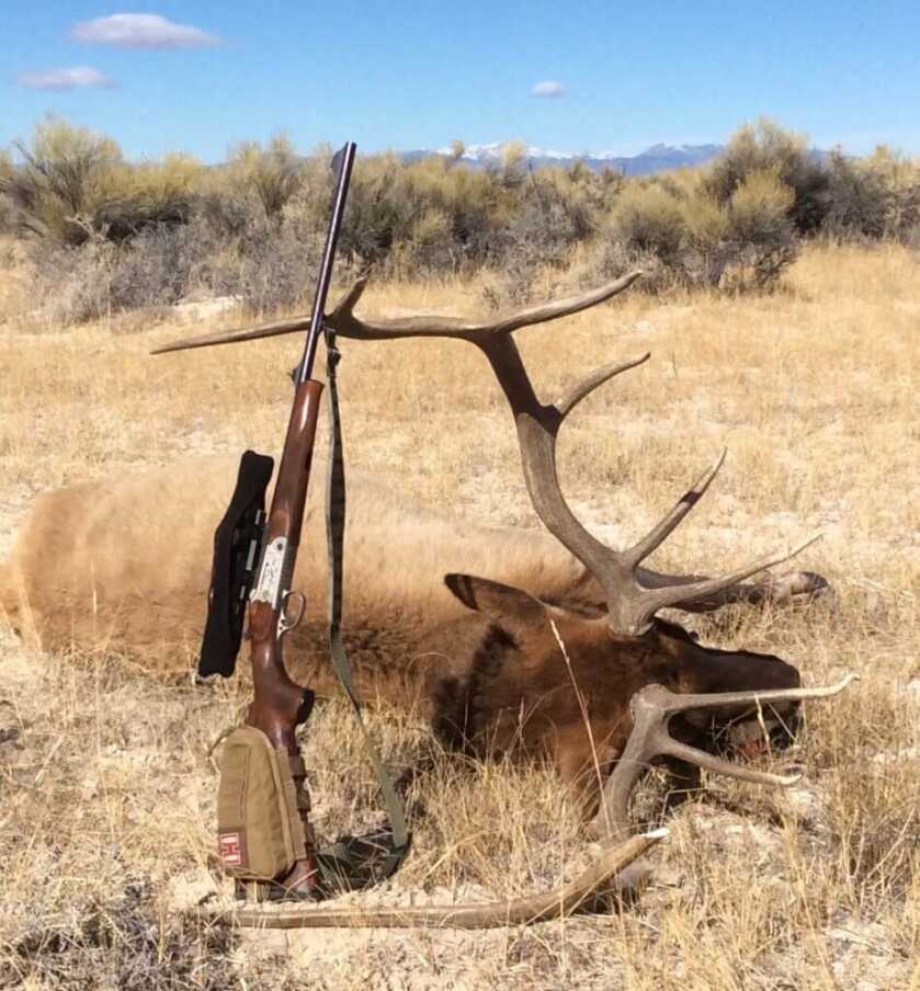 DIY Colorado Elk: My Experience DIY Colorado Elk: My Experience