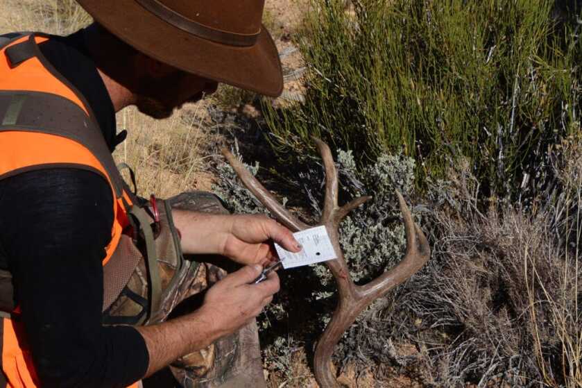Spot and Stalk A Mule Deer Spot and Stalk A Mule Deer