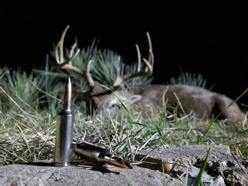 Whitetail Success with Winchester and Browning's 6.8 Western Whitetail Success with Winchester and Browning's 6.8 Western