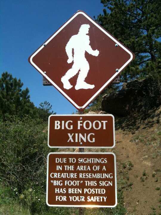 Oklahoma State Legislator Proposes Official Bigfoot Hunting Season Oklahoma State Legislator Proposes Official Bigfoot Hunting Season