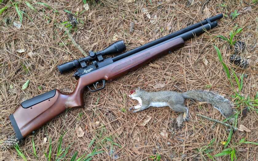 The Semi-Auto Benjamin Marauder is the Gun Nut's Air Rifle The Semi-Auto Benjamin Marauder is the Gun Nut's Air Rifle