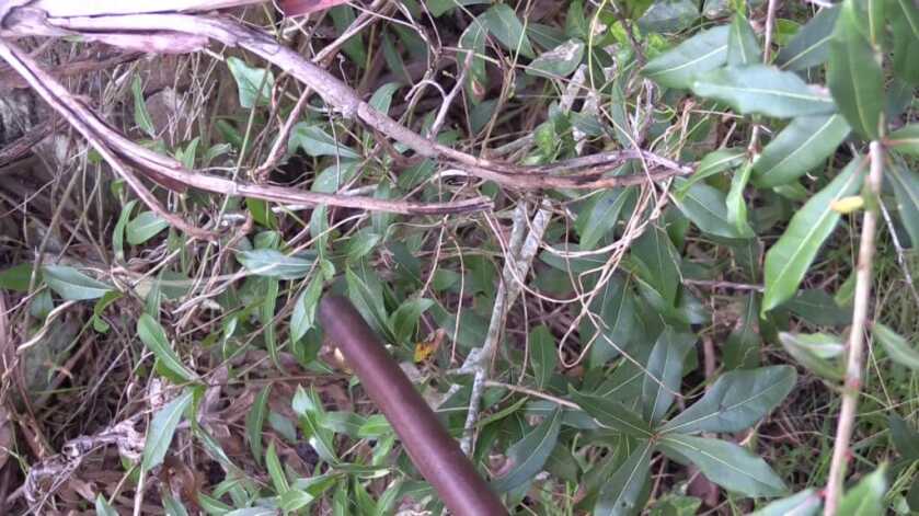 Buying & Shooting UGLY Black Powder Guns Buying & Shooting UGLY Black Powder Guns