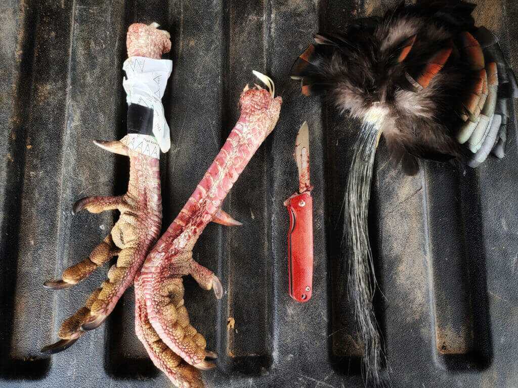 The Switchback Replaceable Razor Knife From Liberty Game Calls