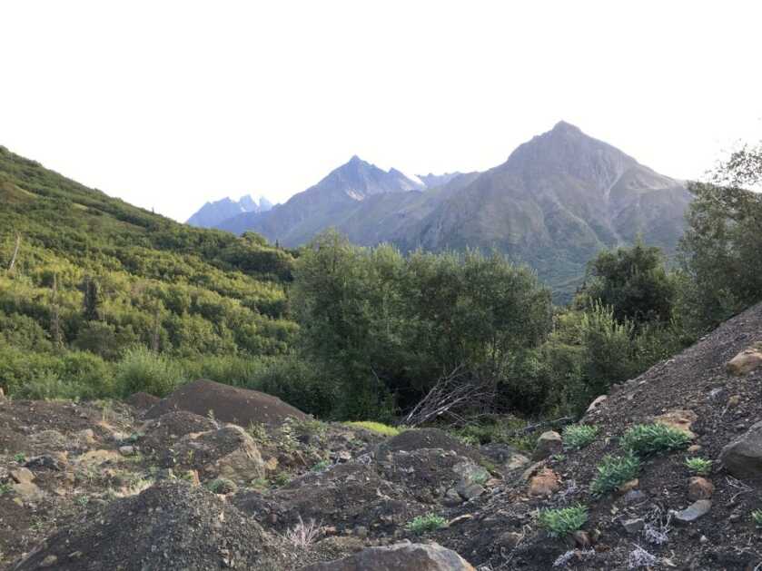 Choosing an Alpine Hunting Camp Site Choosing an Alpine Hunting Camp Site
