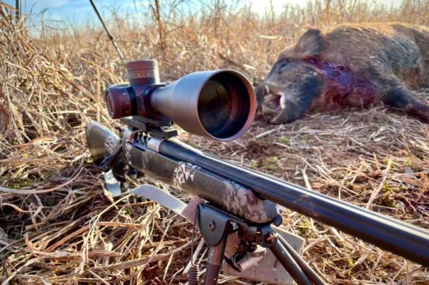 Vortex Razor HD Gen III 6-36x56 FFP Review Vortex Razor HD Gen III 6-36X56 sitting on a Weatherby Mark V set in front of a big boar that I shot