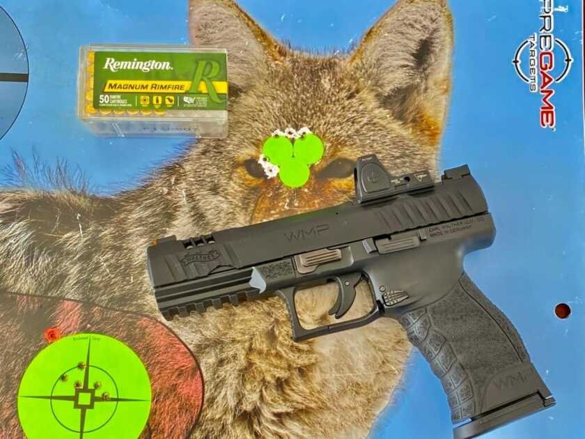 Walther WMP .22 WMR pistol beside a coyote target shot at 25 yards with Remington Magnum Rimfire ammunition
