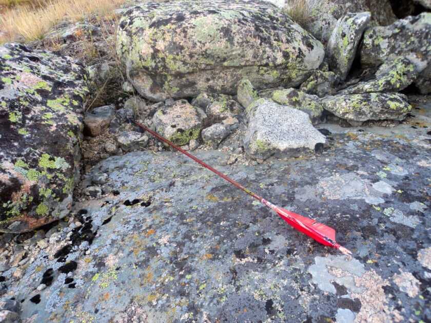 TAKE THE SHOT: A traditional bowhunter is offered a mid-range shot at a moving bull elk. Should he take the shot? Bloody arrow sent from longbow that took down elk