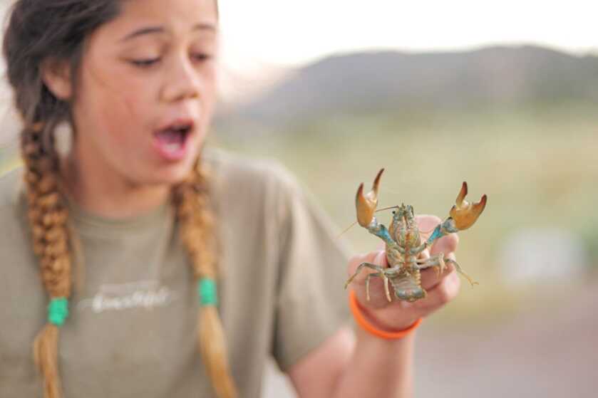 Simple Gourmet: Hobo Dinner with Mountain Lobster Girl outside holding a live crawdad