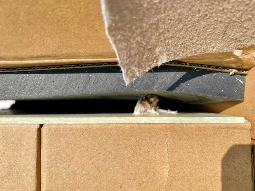 Intruder in a Box: A Better Way to Test Self-Defense Ammunition? Intruder in a Box: A Better Way to Test Self-Defense Ammunition?