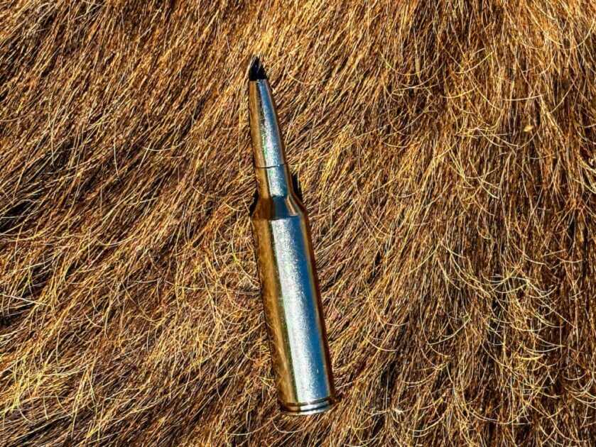 Browning Speed LR 7MM PRC Wins in the Field Browning Speed LR 7MM PRC Wins in the Field