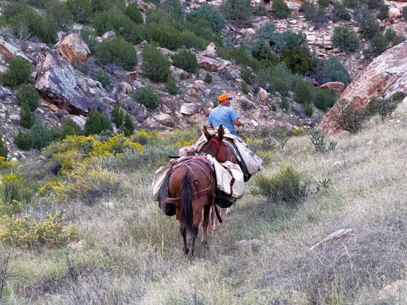 Browning Speed LR 7MM PRC Wins in the Field Hunter with horses going through ravine
