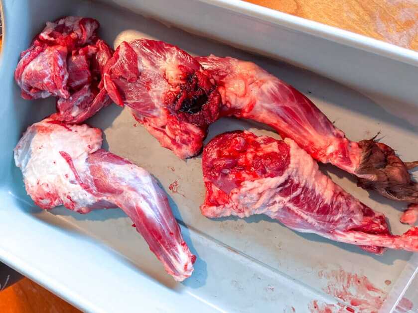 3 - Hunt 365 - Simple Gourmet: Badger Potstickers & Badger Hunting Fresh badger meat
