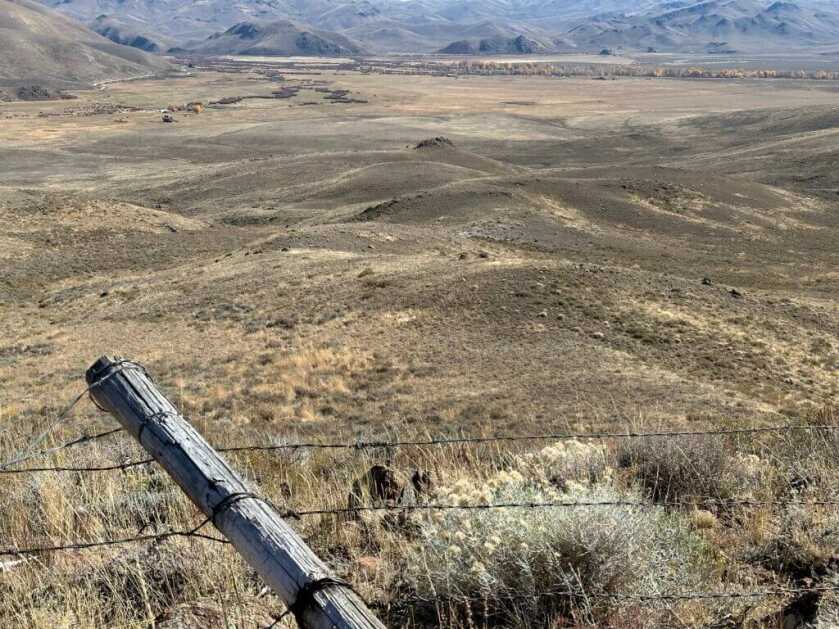 3 - Fireside Stories: How I Killed My Smallest Bull Elk on The Best Tag I've Ever Had - Part 3 of 3 A fence up close divides the hunter from the group of game that are standing on the sage hillside below him.
