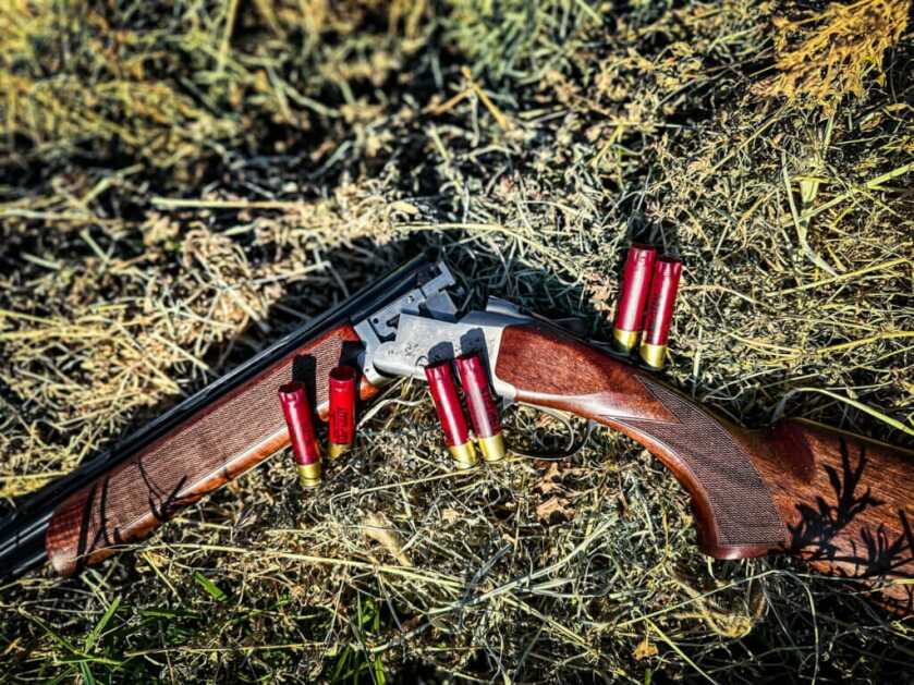 shotgun open