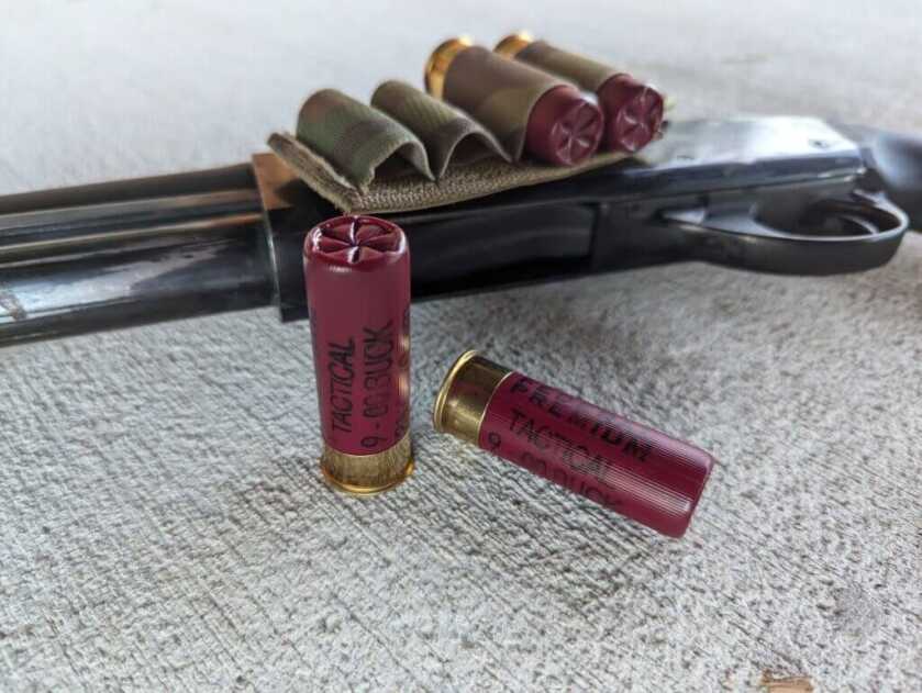 shotgun buckshot