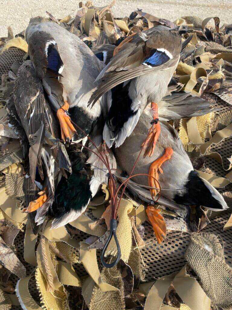 Duck tote stap