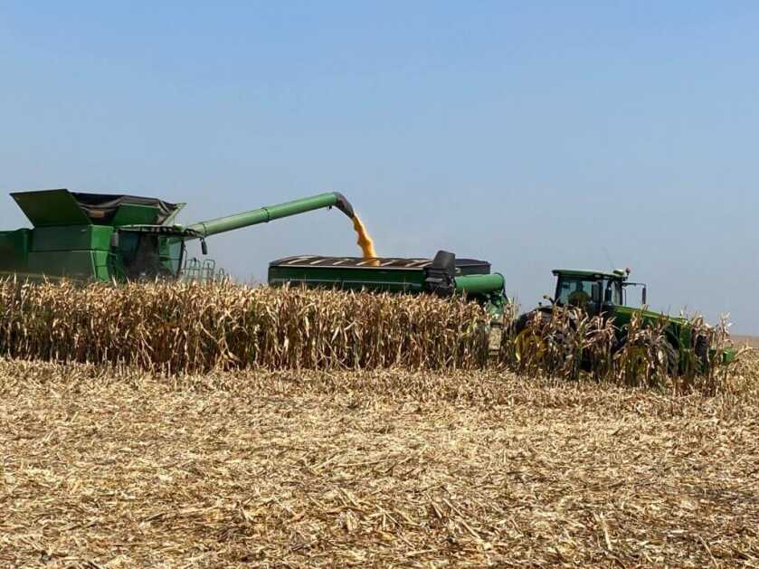 dry corn field during harvest showing the farmer's crop and the value behind private duck hunting access