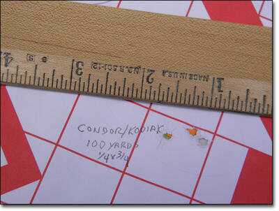 Condor best group at 100 yards