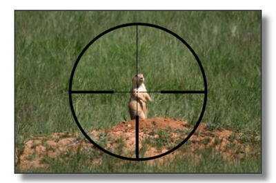 Zeiss Conquest Duralyt 30mm Riflescopes