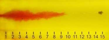 Even after going through the “heavy clothing” part of the FBI protocol, the 9mm Hornady Critical Duty bullet continues to penetrate 15 inches of ballistic gelatin.