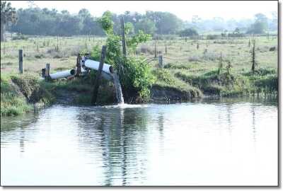 Summer Hunting Anyone?  - Varmint and Predator Hunting All Year Round