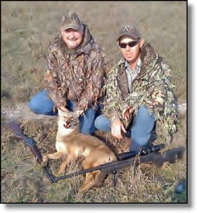 Summer Hunting Anyone?  - Varmint and Predator Hunting All Year Round