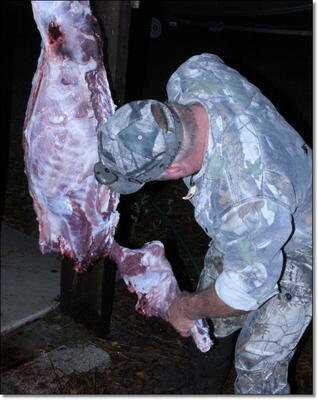 American Tactical Imports ATI 1911 .22 Rimfire with Fake Silencer- New Gun Review