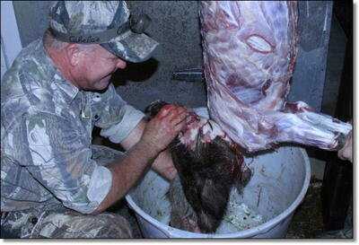 American Tactical Imports ATI 1911 .22 Rimfire with Fake Silencer- New Gun Review