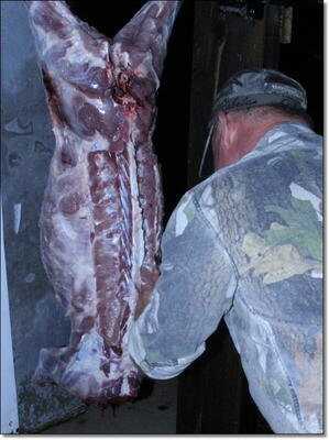 American Tactical Imports ATI 1911 .22 Rimfire with Fake Silencer- New Gun Review