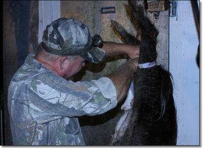 American Tactical Imports ATI 1911 .22 Rimfire with Fake Silencer- New Gun Review