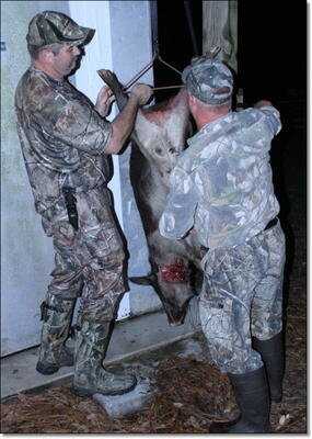 American Tactical Imports ATI 1911 .22 Rimfire with Fake Silencer- New Gun Review