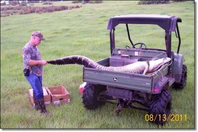 Summer Hunting Anyone?  - Varmint and Predator Hunting All Year Round