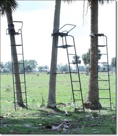 Summer Hunting Anyone?  - Varmint and Predator Hunting All Year Round