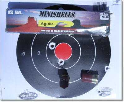 Kel-Tec KSG 15 Round Shotgun - Range Report