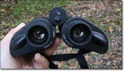 Killing Coyotes 101 - Daytime and Night Hunting Problem Coyotes