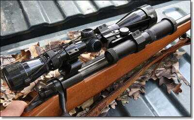 Killing Coyotes 101 - Daytime and Night Hunting Problem Coyotes