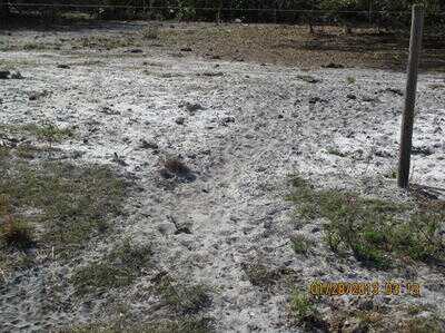 Mossberg Silver Reserve II Over/Under Shotgun—New Gun Review Mossberg Silver Reserve II Over/Under Shotgun—New Gun Review