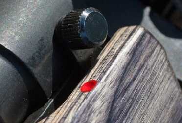 Mossberg MVP Predator .223 Bolt Gun Takes AR-15 Mags- New Gun Review Mossberg MVP Predator