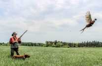 A Class Act: Fausti Class LX 28 Gauge — Full Review