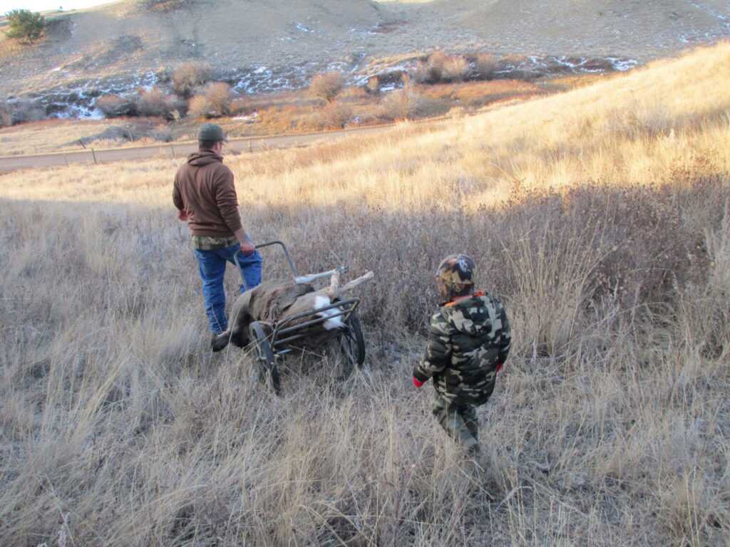 Meat Care and Transportation Tips