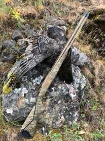 Browning Cynergy Shotgun Review