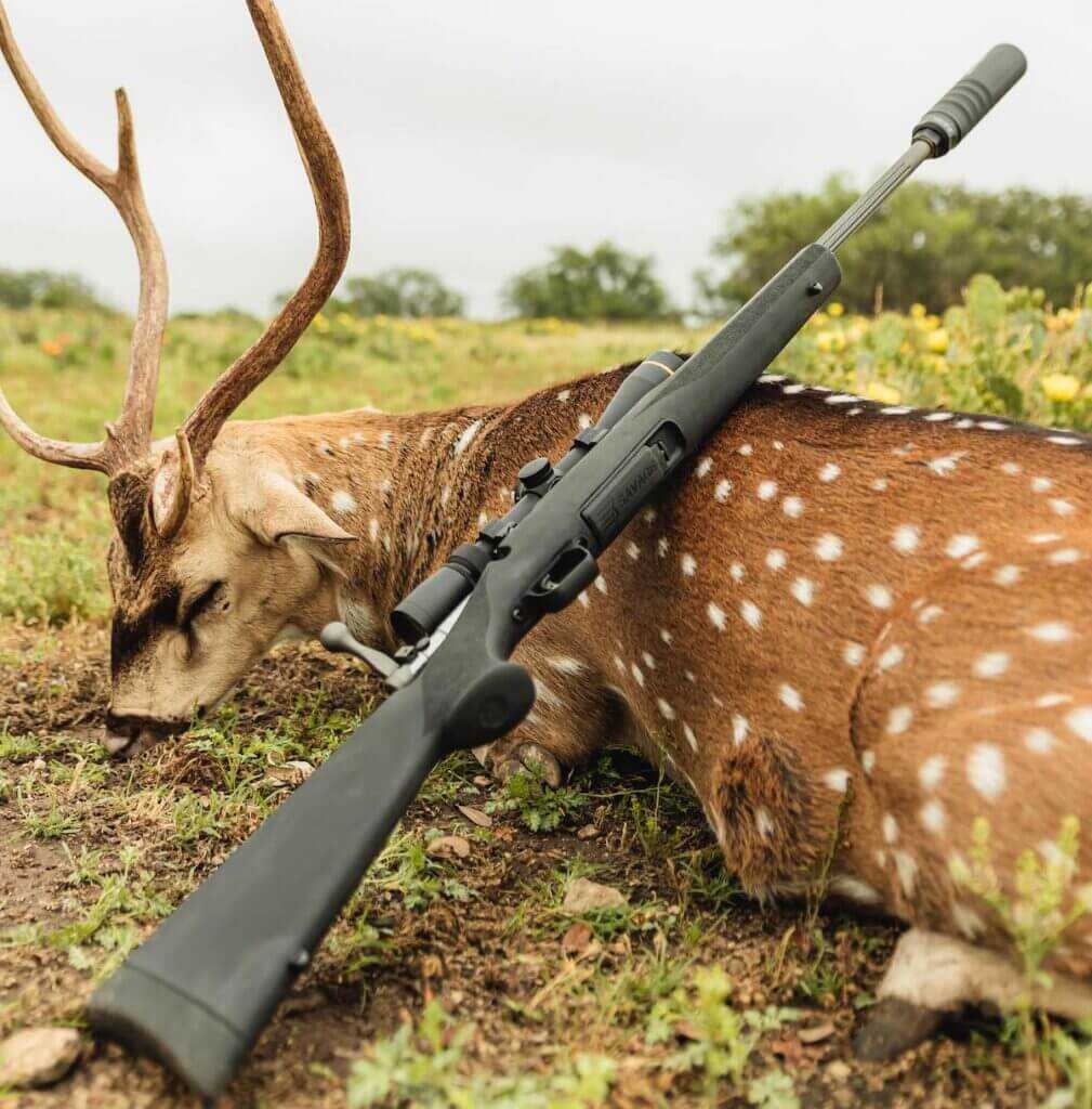 The Trail Hunter Lite resting on recently harvested game.
