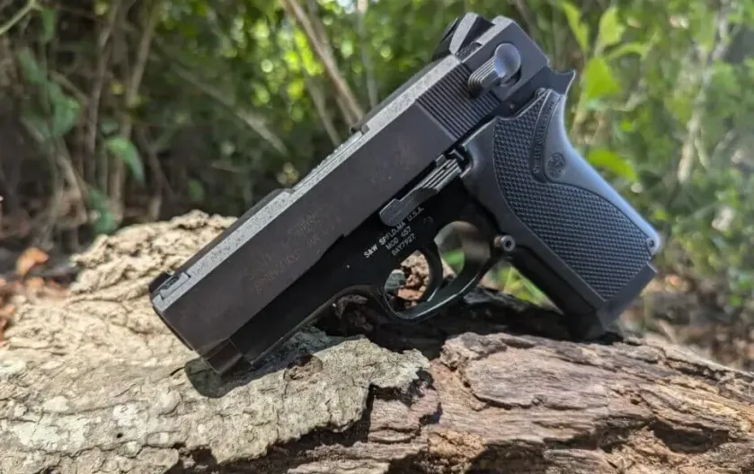 Pistol bough second-hand resting on petrified wood