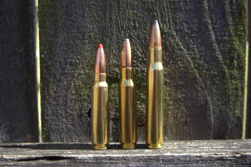 300 savage rounds