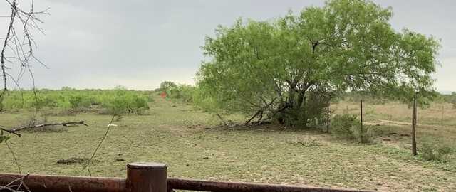 a pasture with a tree and fnece