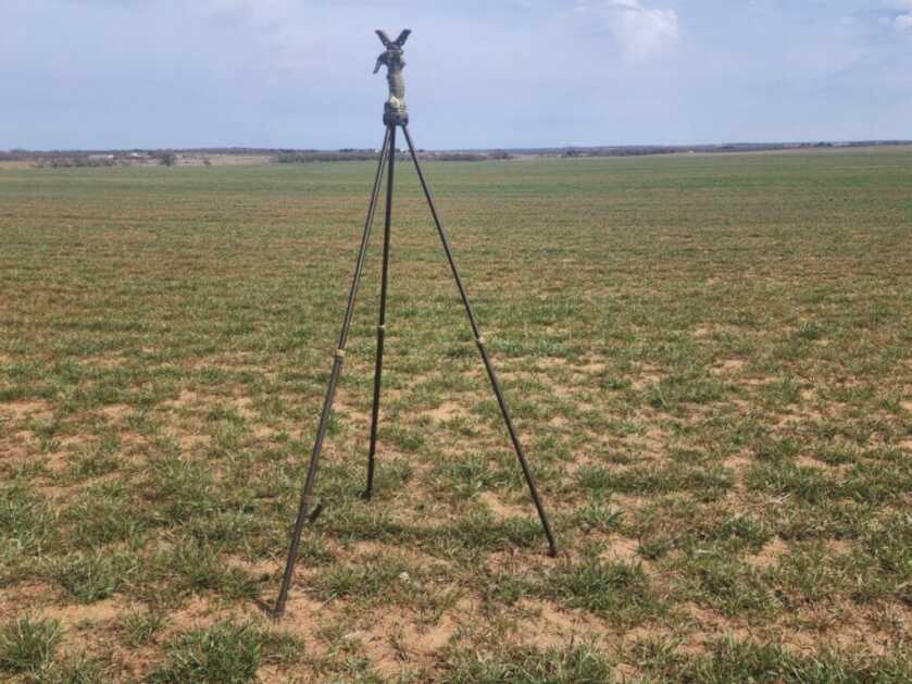 tripod at full height